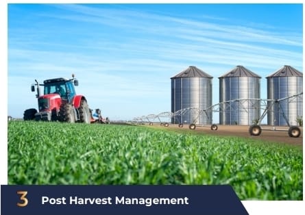 Post-harvest management